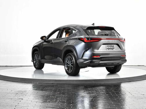 2025 Lexus NX 250 Base