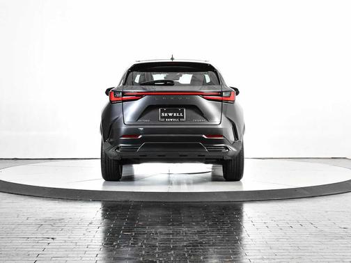 2025 Lexus NX 250 Base