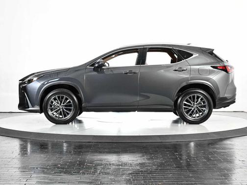 2025 Lexus NX 250 Base
