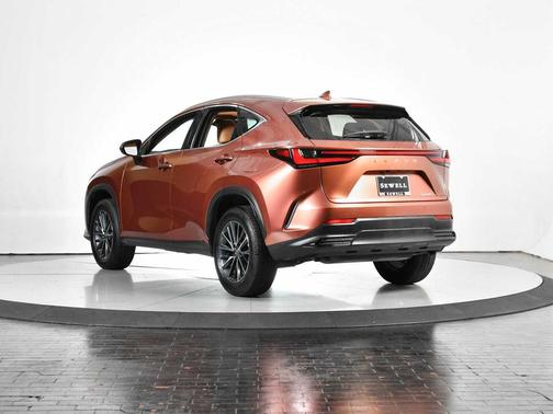 2025 Lexus NX 250 Premium