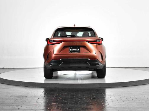 2025 Lexus NX 250 Premium