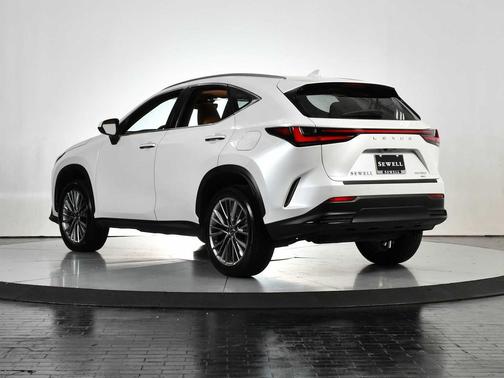 2025 Lexus NX 350 Premium