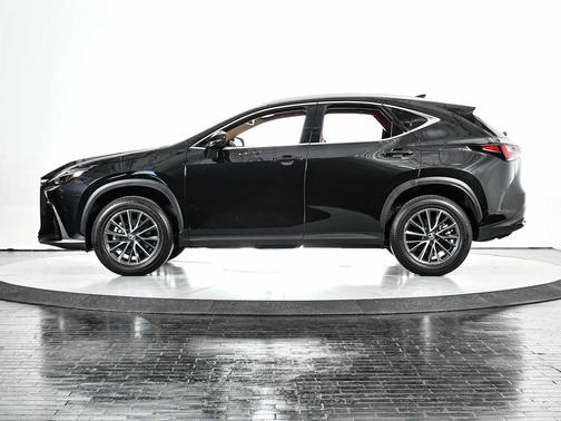 2025 Lexus NX 250 Base