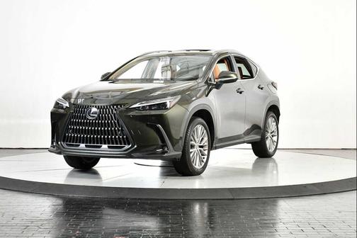 2025 Lexus NX 350 Premium