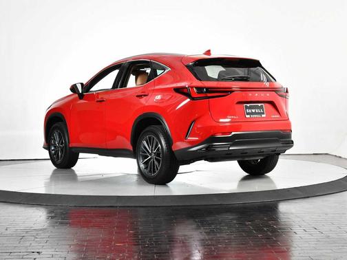 2025 Lexus NX 250 Base