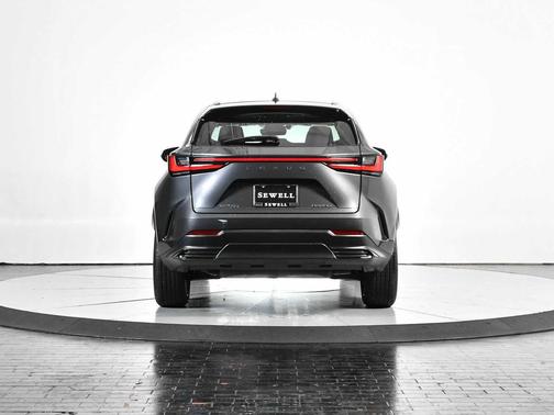 2025 Lexus NX 250 Premium