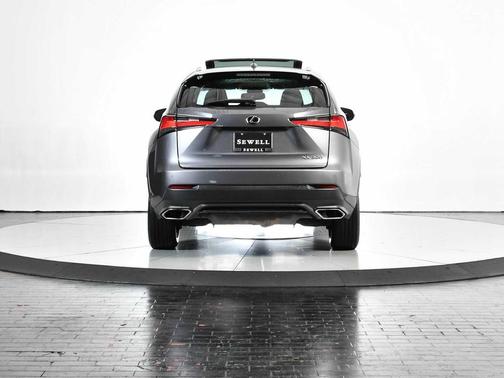 Nebula Gray Pearl 2018 Lexus NX 300 F Sport