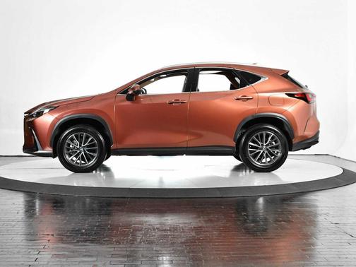 2025 Lexus NX 250 Premium