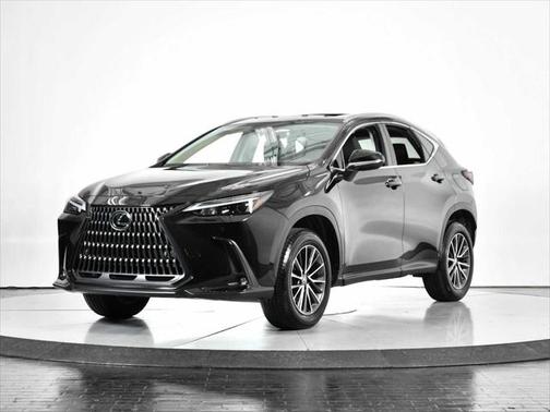 2025 Lexus NX 250 Premium