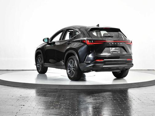 2025 Lexus NX 250 Premium