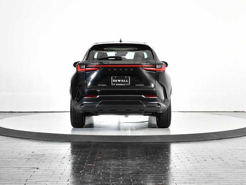 2025 Lexus NX 250 Premium
