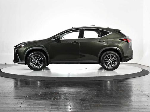2025 Lexus NX 350h Luxury