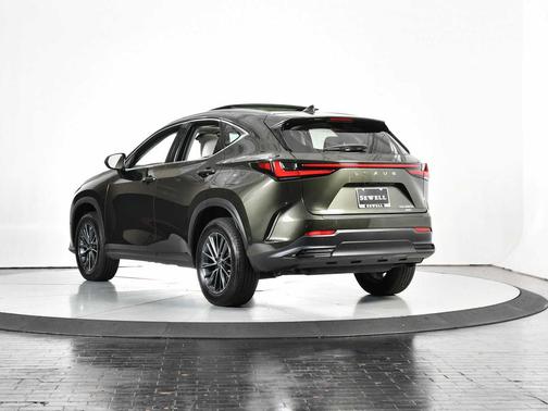 2025 Lexus NX 350h Luxury