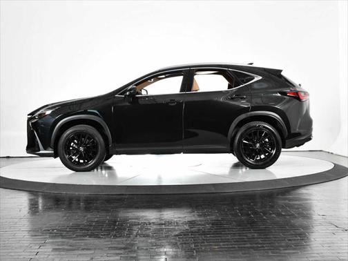 2025 Lexus NX 250 Premium
