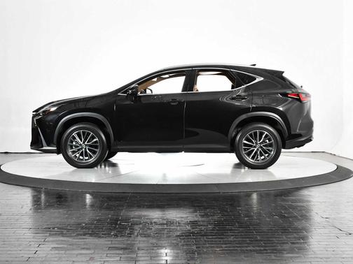 2025 Lexus NX 250 Premium
