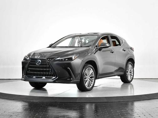 2025 Lexus NX 350 Premium
