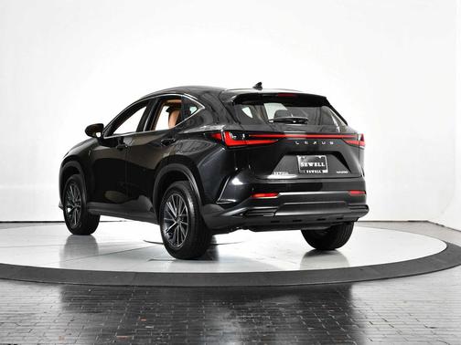 2025 Lexus NX 250 Premium