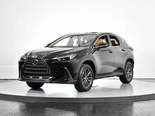 2025 Lexus NX 250 Premium