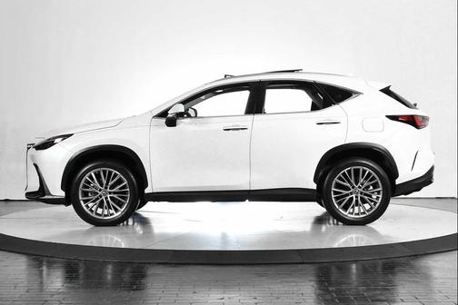 2022 Lexus NX 350 Luxury