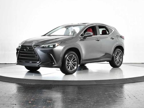 Cloudburst Gray 2025 Lexus NX 250 Premium