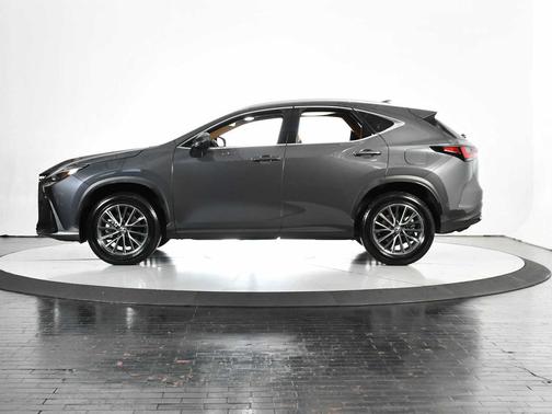 Cloudburst Gray 2025 Lexus NX 250 Premium