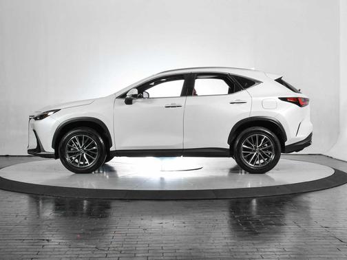 2024 Lexus NX 250 Premium