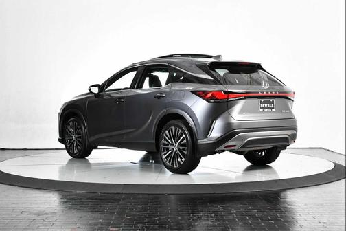 Nebula Gray Pearl 2023 Lexus RX 350 Premium Plus