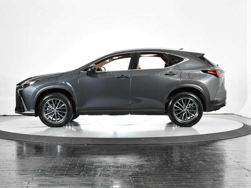 2025 Lexus NX 250 Premium