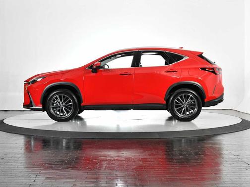 2025 Lexus NX 250 Premium