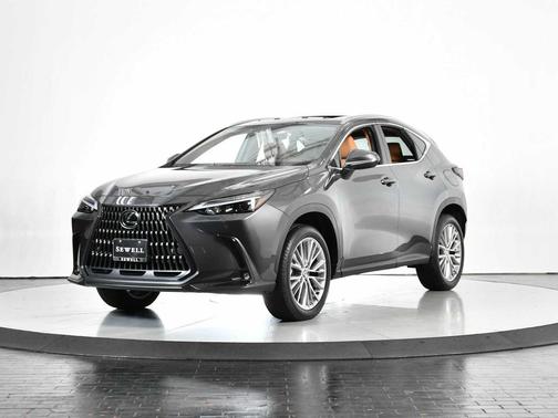 2025 Lexus NX 350 Premium