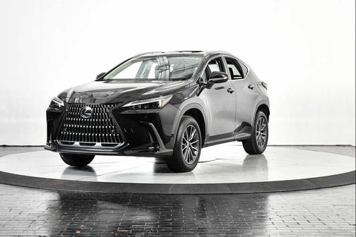 2025 Lexus NX 250 Premium