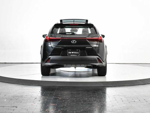 Caviar 2025 Lexus UX 300h Base