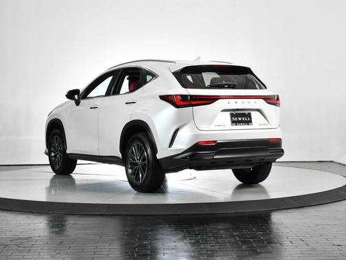 2025 Lexus NX 250 Premium