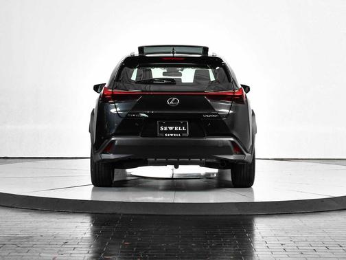 2024 Lexus UX 250h Base