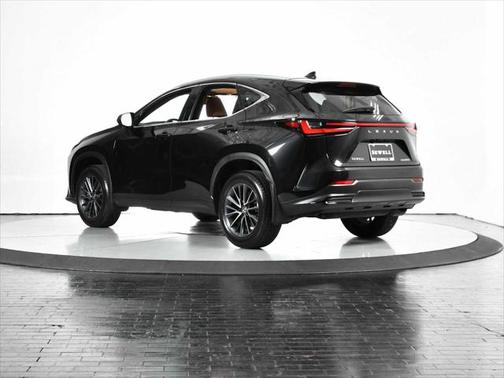 2024 Lexus NX 250 Premium