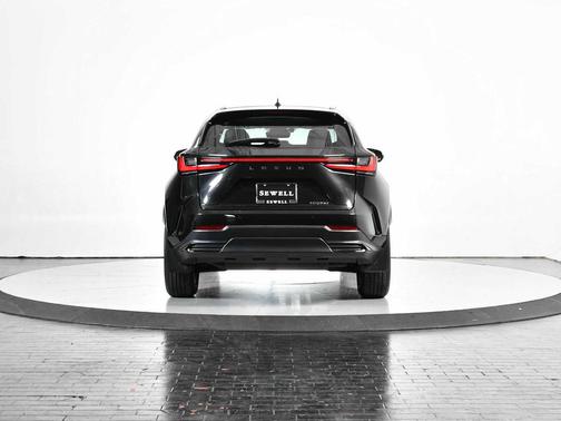 2025 Lexus NX 250 Premium