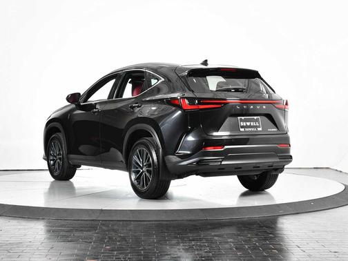 2025 Lexus NX 250 Premium