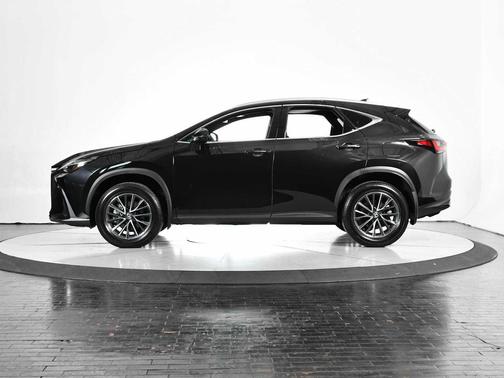 2025 Lexus NX 250 Premium