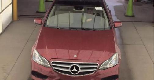 designo Cardinal Red Metallic 2016 Mercedes-Benz E-Class 4dr Sdn E 350 Sport RWD