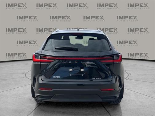 2022 Lexus NX 250 Base
