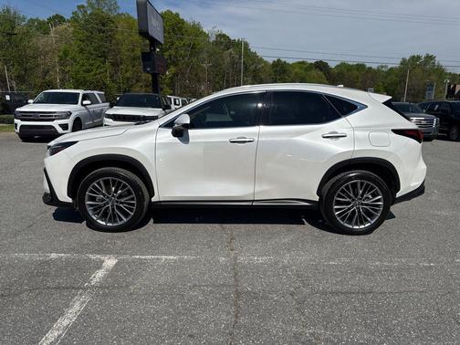 2025 Lexus NX 350h Premium