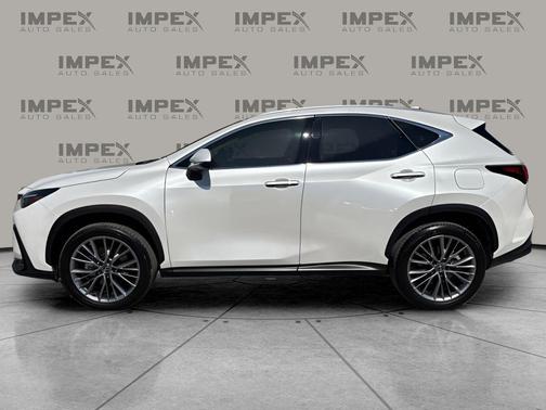 Eminent White Pearl 2025 Lexus NX 350h Premium
