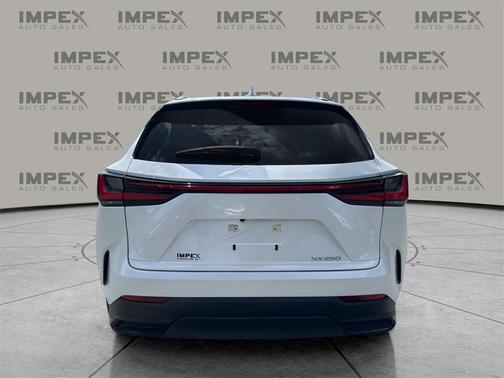 2023 Lexus NX 250 Base