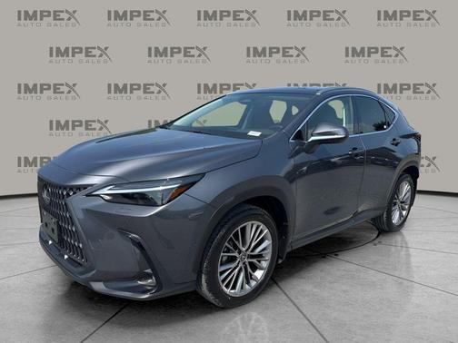 Cloudburst Gray 2024 Lexus NX 350h Luxury