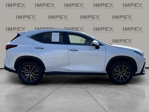 2024 Lexus NX 250 Premium