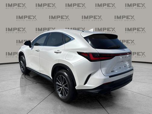 2024 Lexus NX 250 Premium