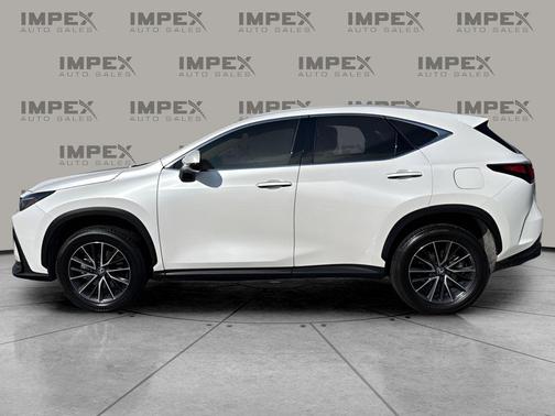 2024 Lexus NX 250 Premium
