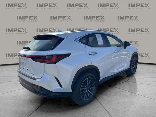 2024 Lexus NX 250 Premium