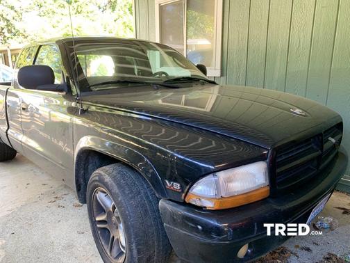 Photo 5 of 6 of 2000 Dodge Dakota Sport