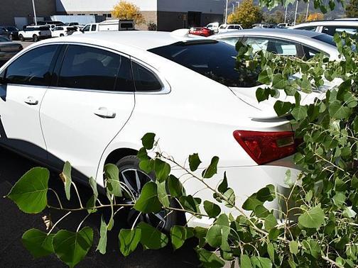 2022 Chevrolet Malibu FWD RS